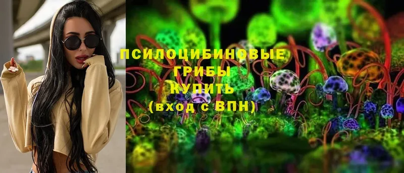 Галлюциногенные грибы Cubensis  Богучар 